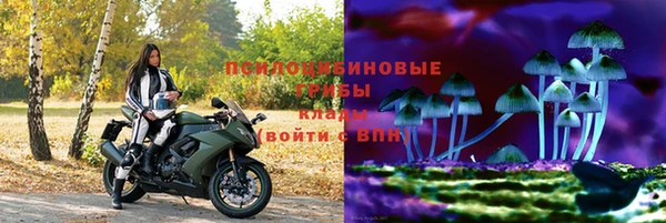 героин Алексин